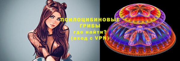 ГАЛЛЮЦИНОГЕННЫЕ ГРИБЫ Балахна