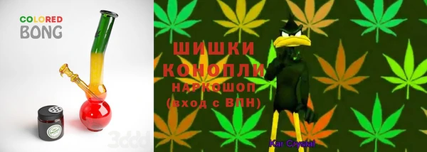 ГАЛЛЮЦИНОГЕННЫЕ ГРИБЫ Балахна