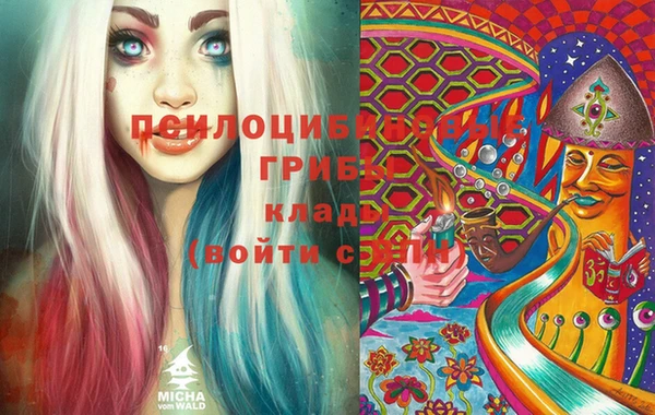 ГАЛЛЮЦИНОГЕННЫЕ ГРИБЫ Балахна