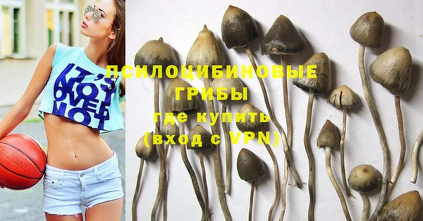 ГАЛЛЮЦИНОГЕННЫЕ ГРИБЫ Балахна